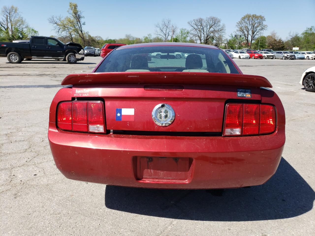 Lot #2533599054 2005 FORD MUSTANG