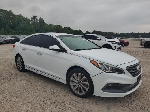 2015 Hyundai Sonata Sport VIN: 5NPE34AF9FH238366 Lot: 51974204