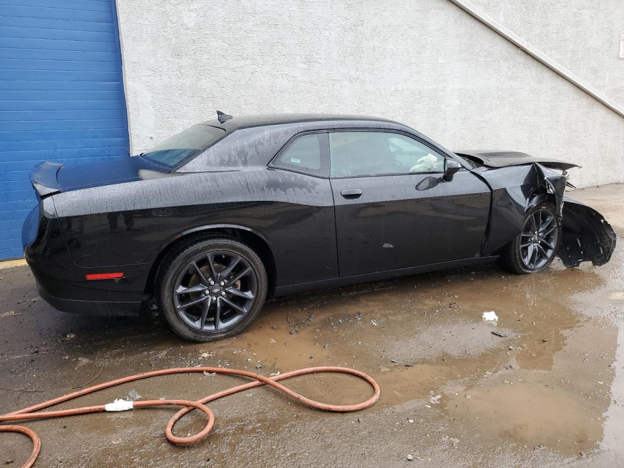 Lot #2497136614 2022 DODGE CHALLENGER