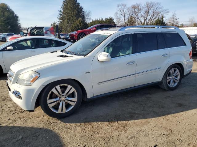 2010 Mercedes-Benz Gl 350 Bluetec VIN: 4JGBF2FB2AA531896 Lot: 51183494