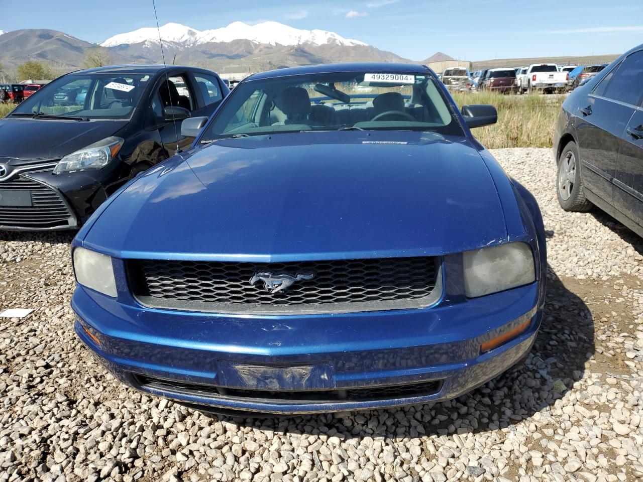 1ZVFT80N165251985 2006 Ford Mustang