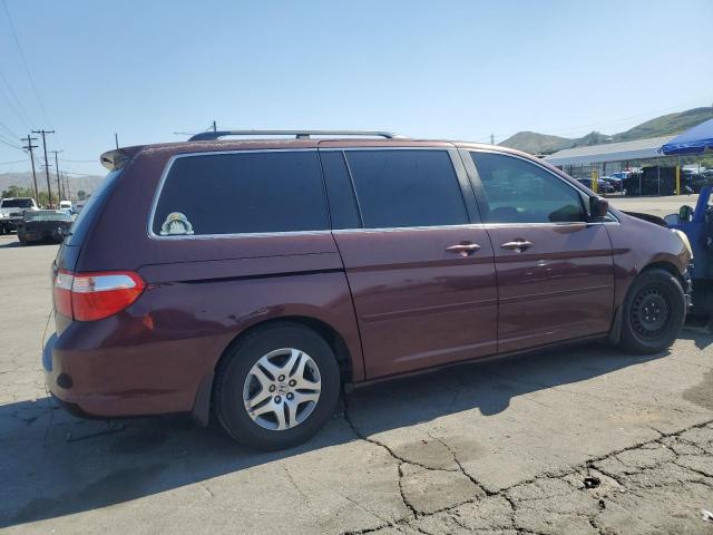 2007 Honda Odyssey Ex VIN: 5FNRL38407B033423 Lot: 50713104