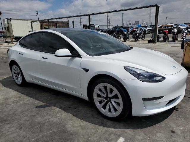 2023 Tesla Model 3 VIN: 5YJ3E1EA1PF582952 Lot: 50823284