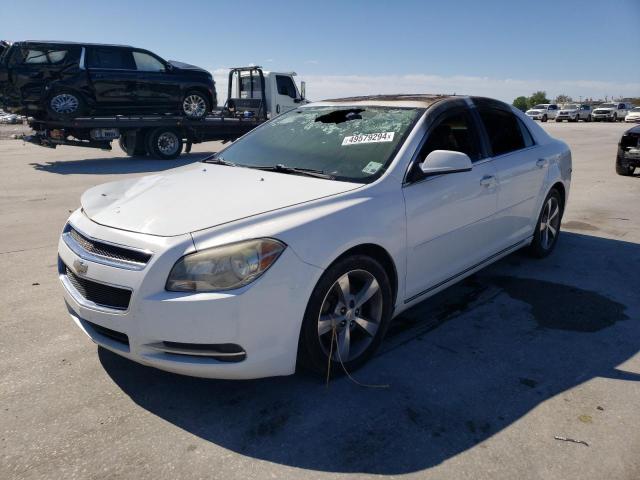 2011 Chevrolet Malibu 1Lt VIN: 1G1ZC5EU7BF137582 Lot: 49579294