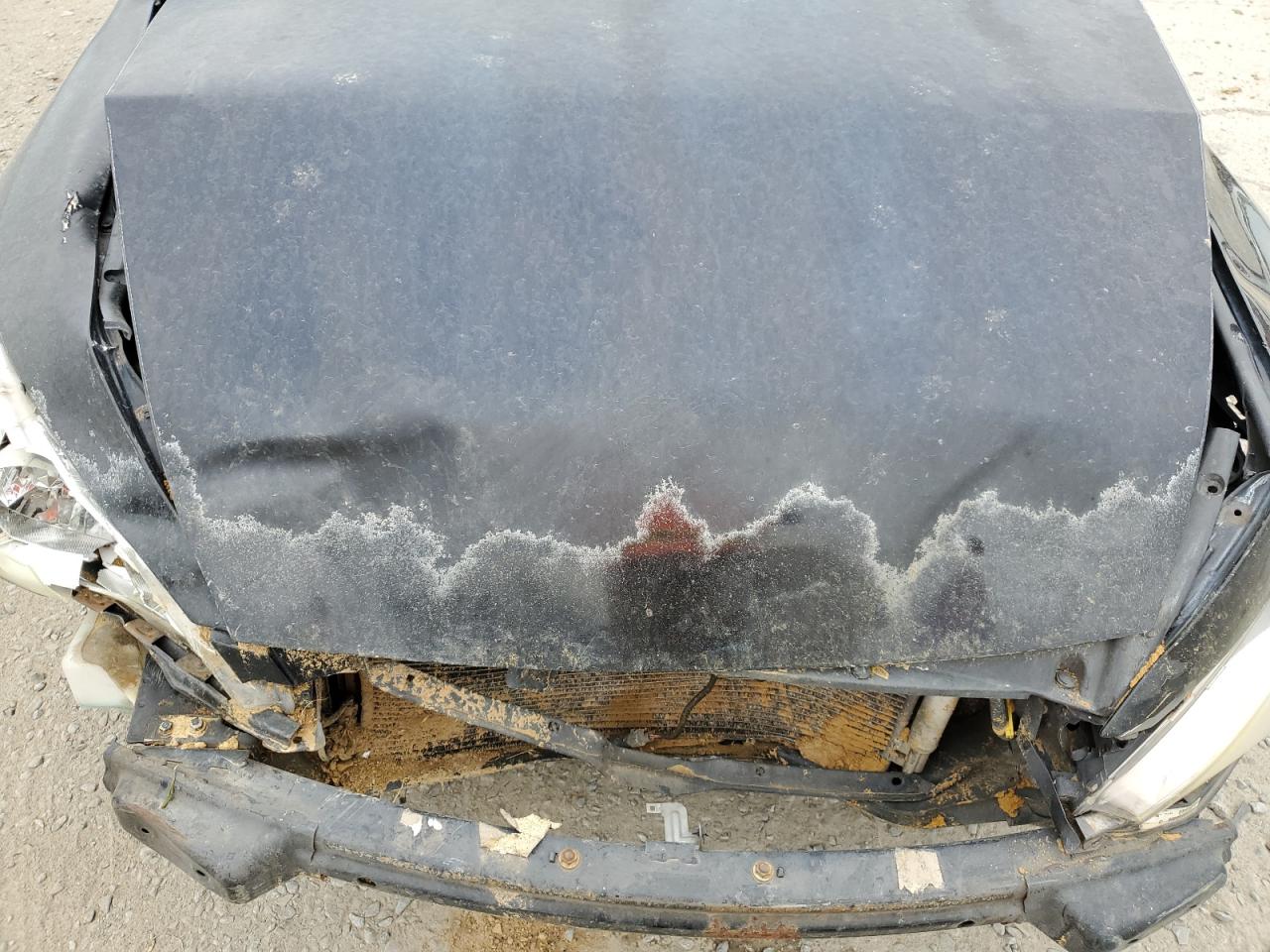 1HGCM56834A107606 2004 Honda Accord Ex