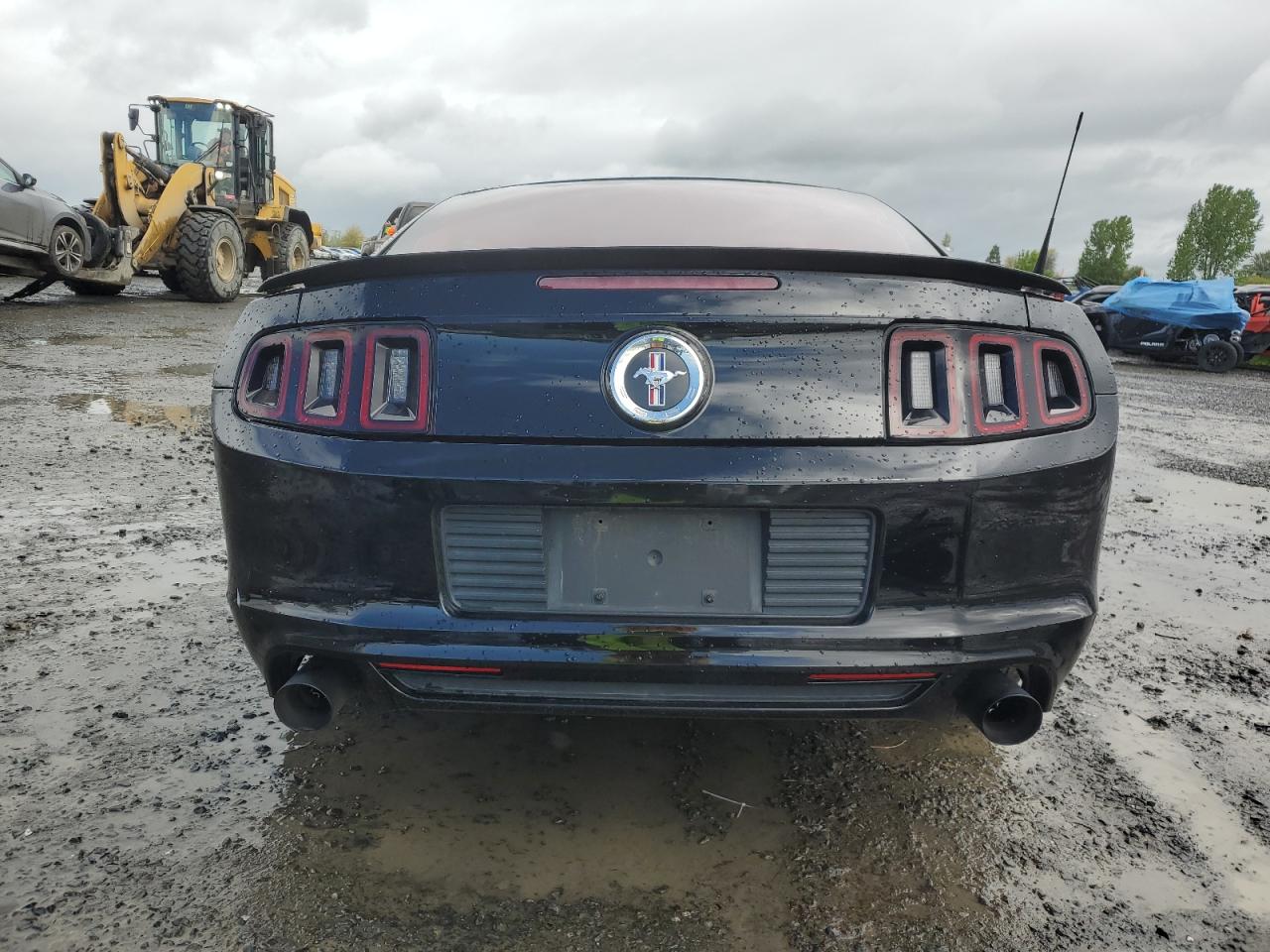 1ZVBP8AM2D5248163 2013 Ford Mustang