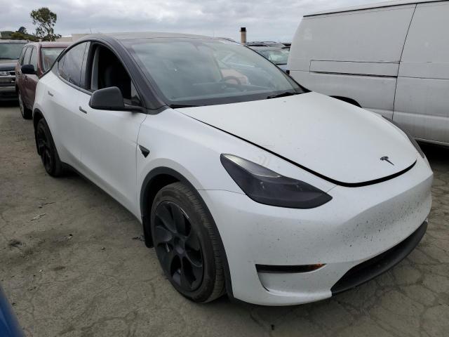 2023 Tesla Model Y VIN: 7SAYGAEE4PF628733 Lot: 50080484