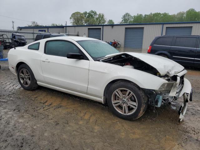 2013 Ford Mustang VIN: 1ZVBP8AM7D5281515 Lot: 47897744