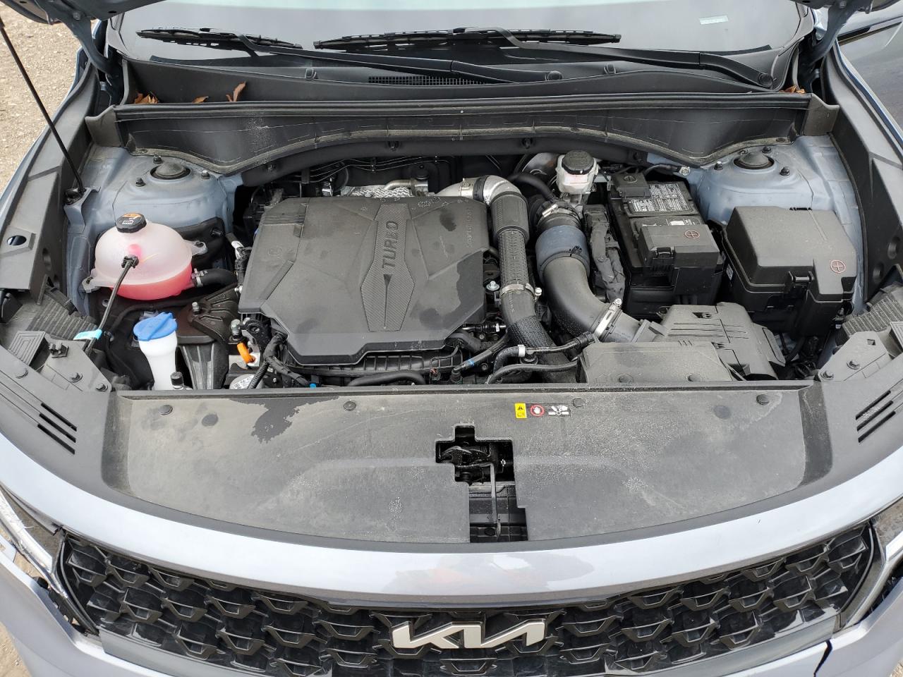 5XYRK4LF4NG128381 2022 Kia Sorento Sx