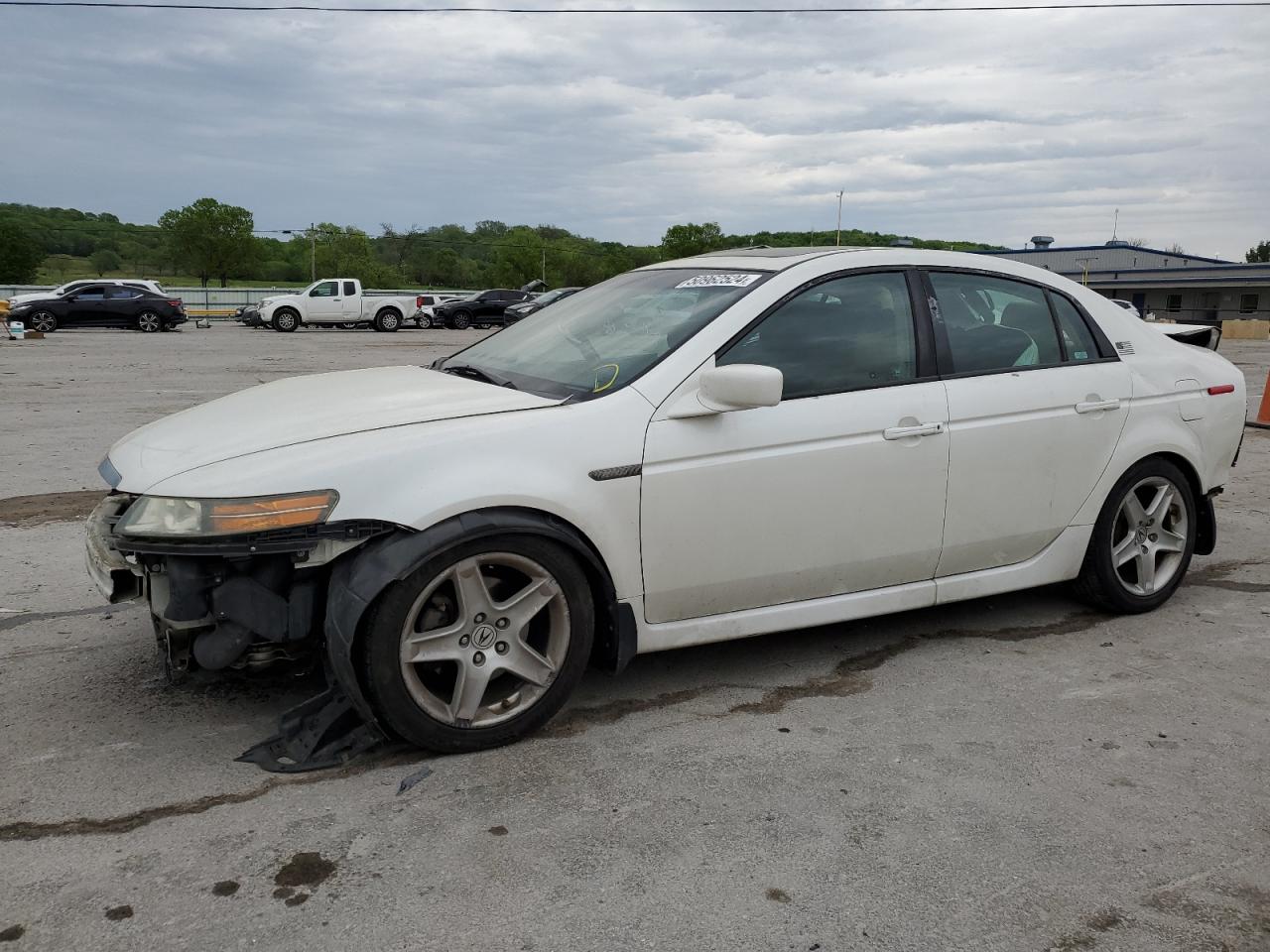 19UUA66216A034530 2006 Acura 3.2Tl