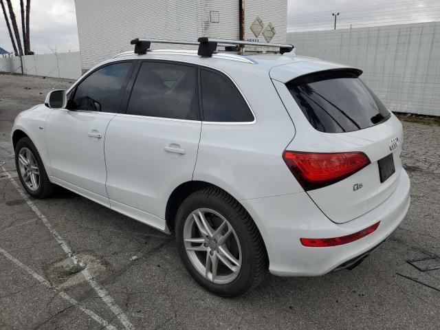 2013 Audi Q5 Premium Plus VIN: WA1DGAFP4DA024464 Lot: 51297584