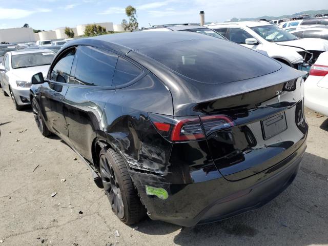 2023 Tesla Model Y VIN: 7SAYGDEF6PF833349 Lot: 50991094