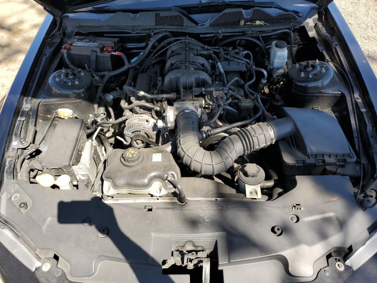 1ZVBP8AN3A5149582 2010 Ford Mustang