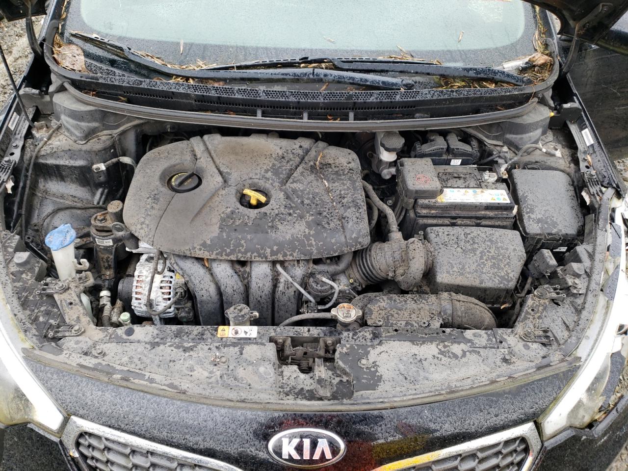 KNAFK4A65E5190996 2014 Kia Forte Lx