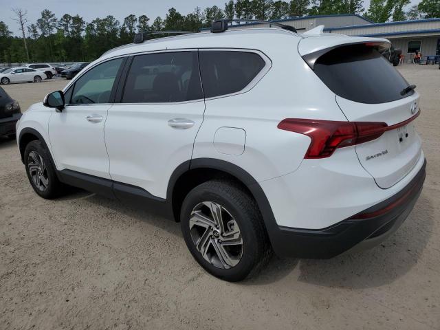 2023 Hyundai Santa Fe Sel VIN: 5NMS2DAJ5PH489071 Lot: 51225254