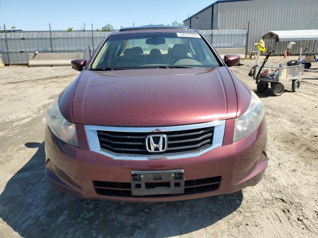 2008 Honda Accord Exl VIN: 1HGCP268X8A120445 Lot: 52533394