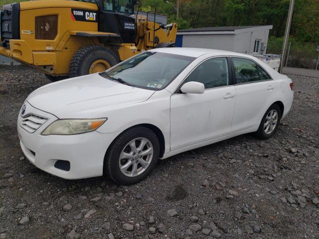 Lot #2517198404 2011 TOYOTA CAMRY BASE salvage car