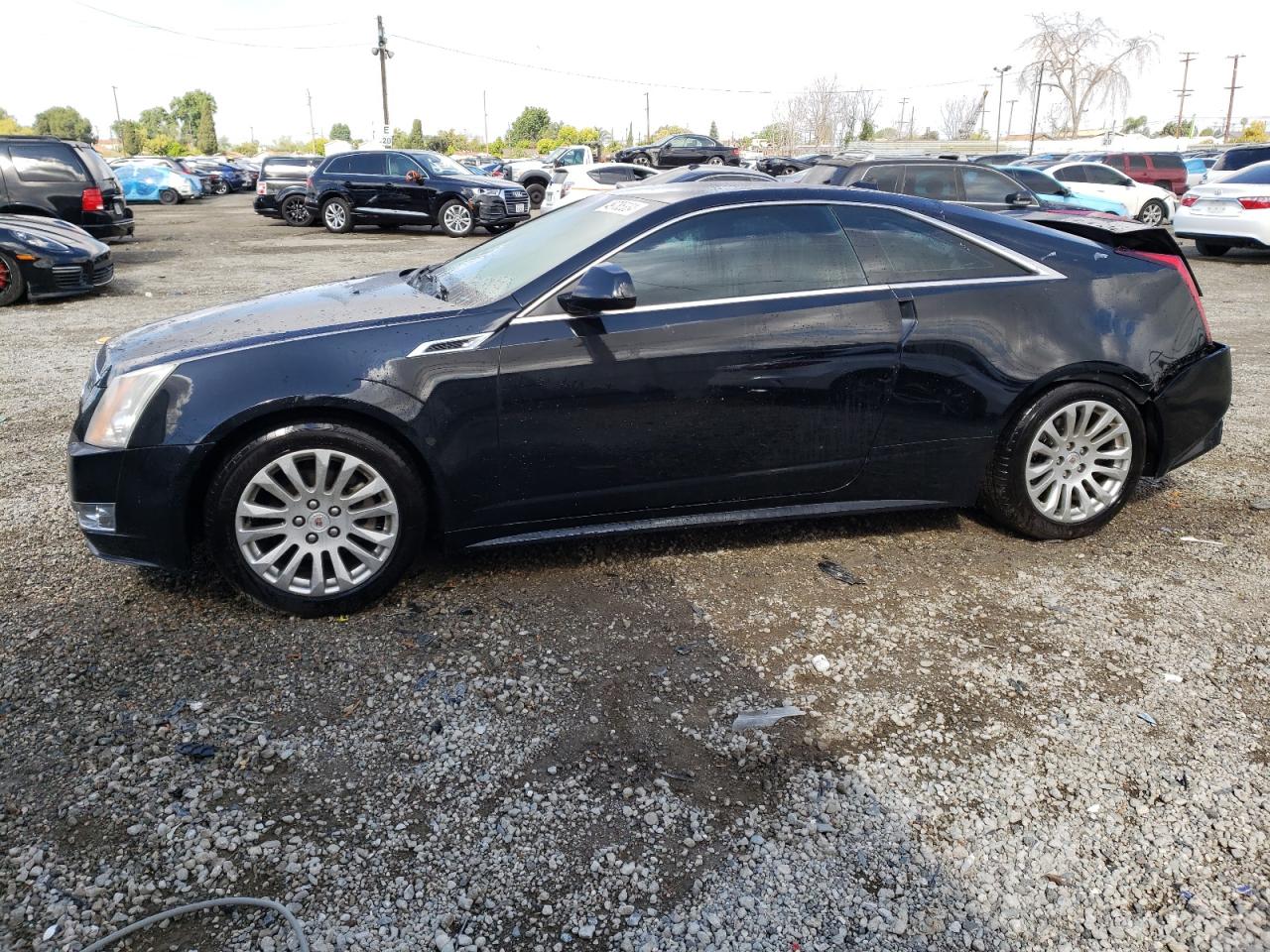 Lot #2468729856 2011 CADILLAC CTS PERFOR