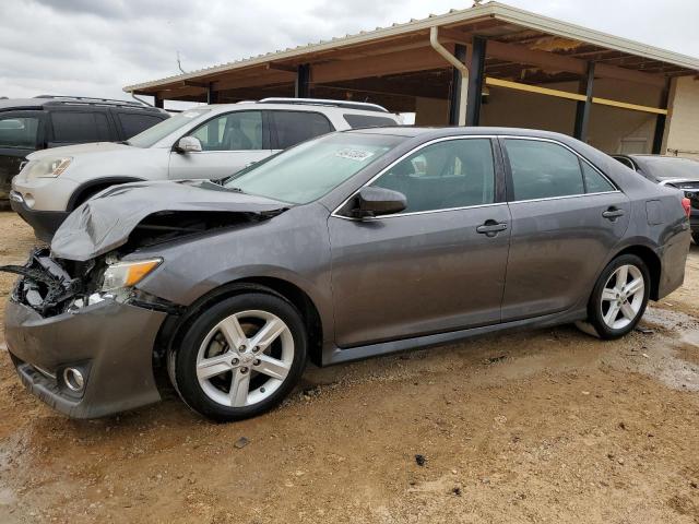 Lot #2469189924 2014 TOYOTA CAMRY L salvage car