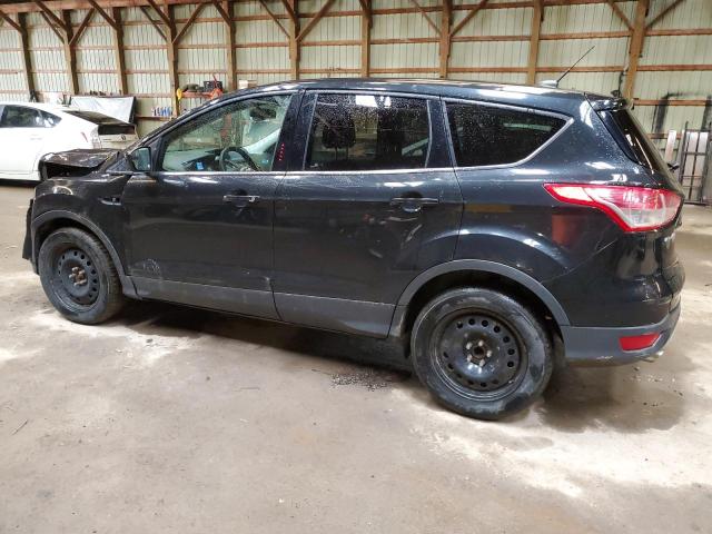 2014 Ford Escape Se VIN: 1FMCU0GXXEUE02088 Lot: 50794404