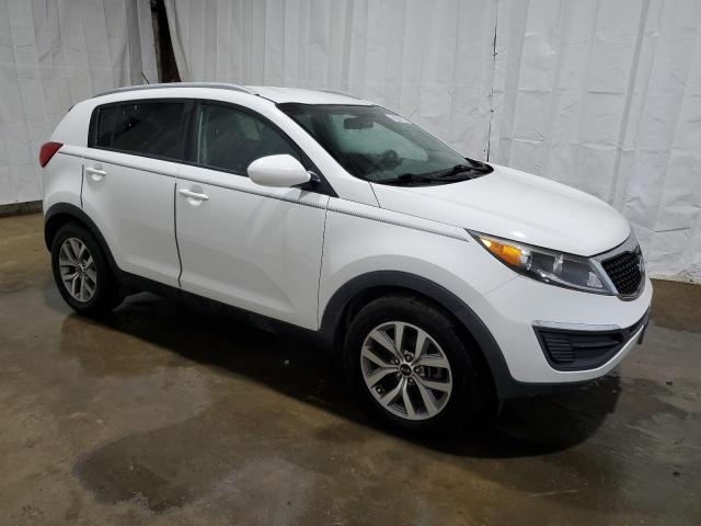 2016 Kia Sportage Lx VIN: KNDPB3AC7G7802405 Lot: 52716354