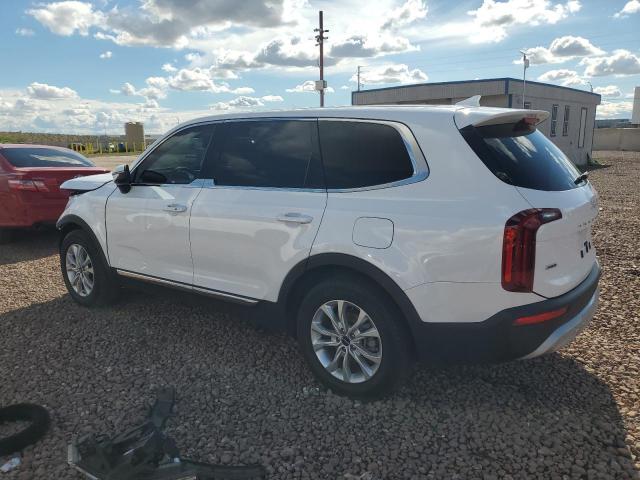 2022 Kia Telluride Lx VIN: 5XYP2DHC6NG310489 Lot: 49199284