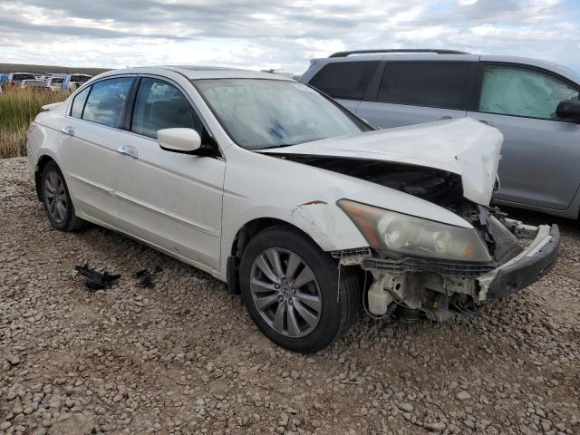 2008 Honda Accord Exl VIN: 1HGCP36868A058421 Lot: 51291474