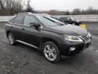 LEXUS RX 350 photo