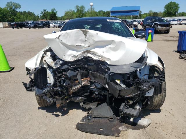 2023 Kia Stinger Gt2 VIN: KNAE55LC3P6125878 Lot: 50588644