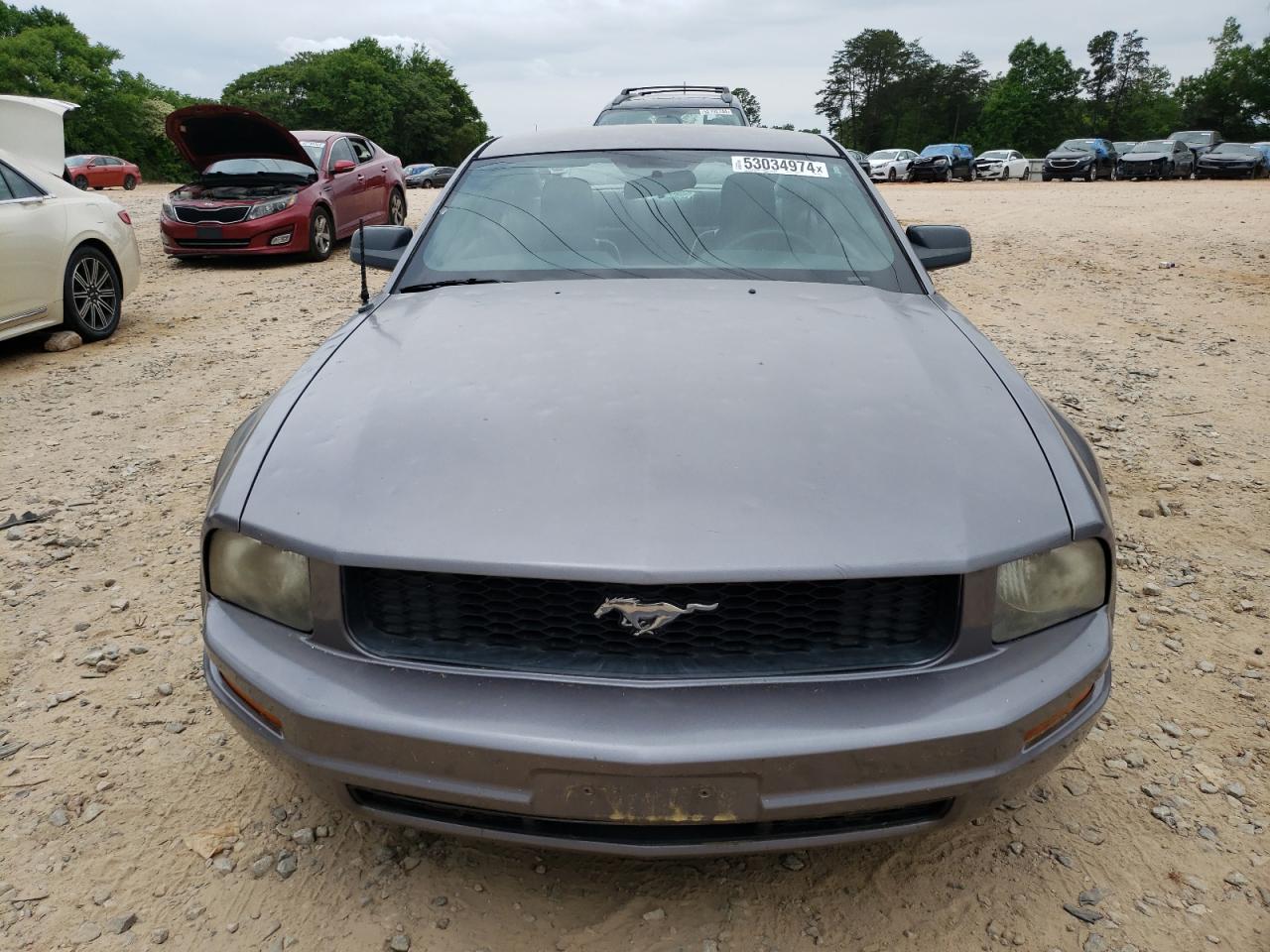 1ZVFT80N675239669 2007 Ford Mustang