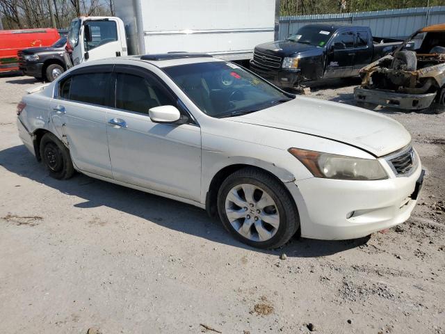 2008 Honda Accord Exl VIN: 1HGCP36888A068951 Lot: 50900134