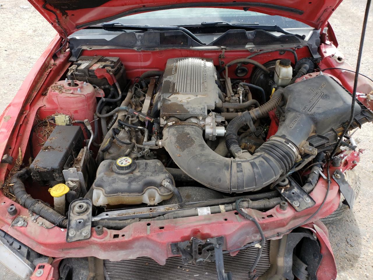 1ZVBP8CH6A5111609 2010 Ford Mustang Gt