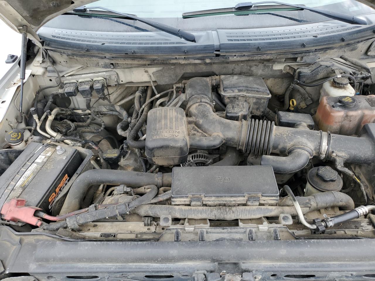 1FTFW1EV9AFD83969 2010 Ford F150 Supercrew