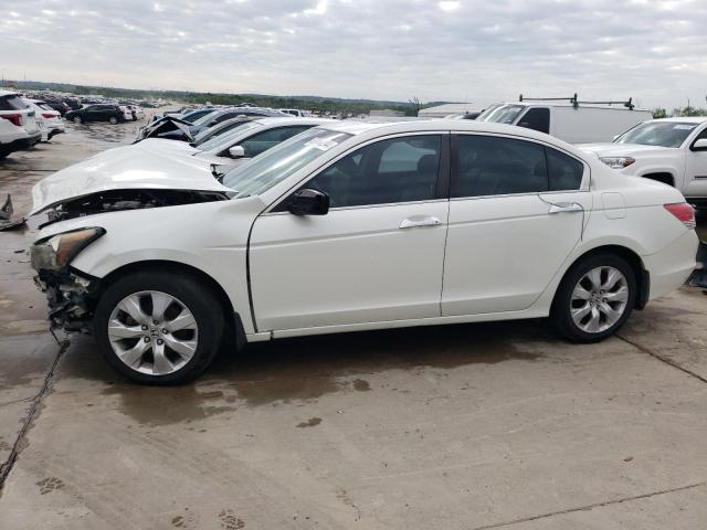 2009 Honda Accord Exl VIN: 1HGCP36849A003774 Lot: 52408244