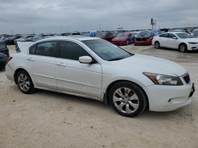 2010 Honda Accord Exl VIN: 5KBCP3F88AB004003 Lot: 52475414