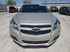 CHEVROLET MALIBU LS photo