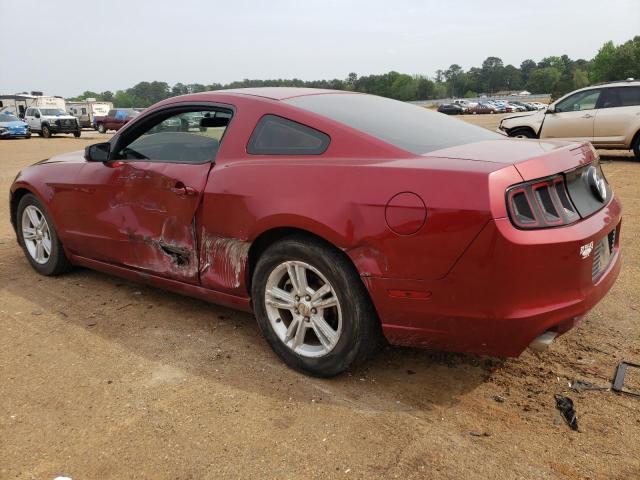 2014 Ford Mustang VIN: 1ZVBP8AM3E5278032 Lot: 49088644