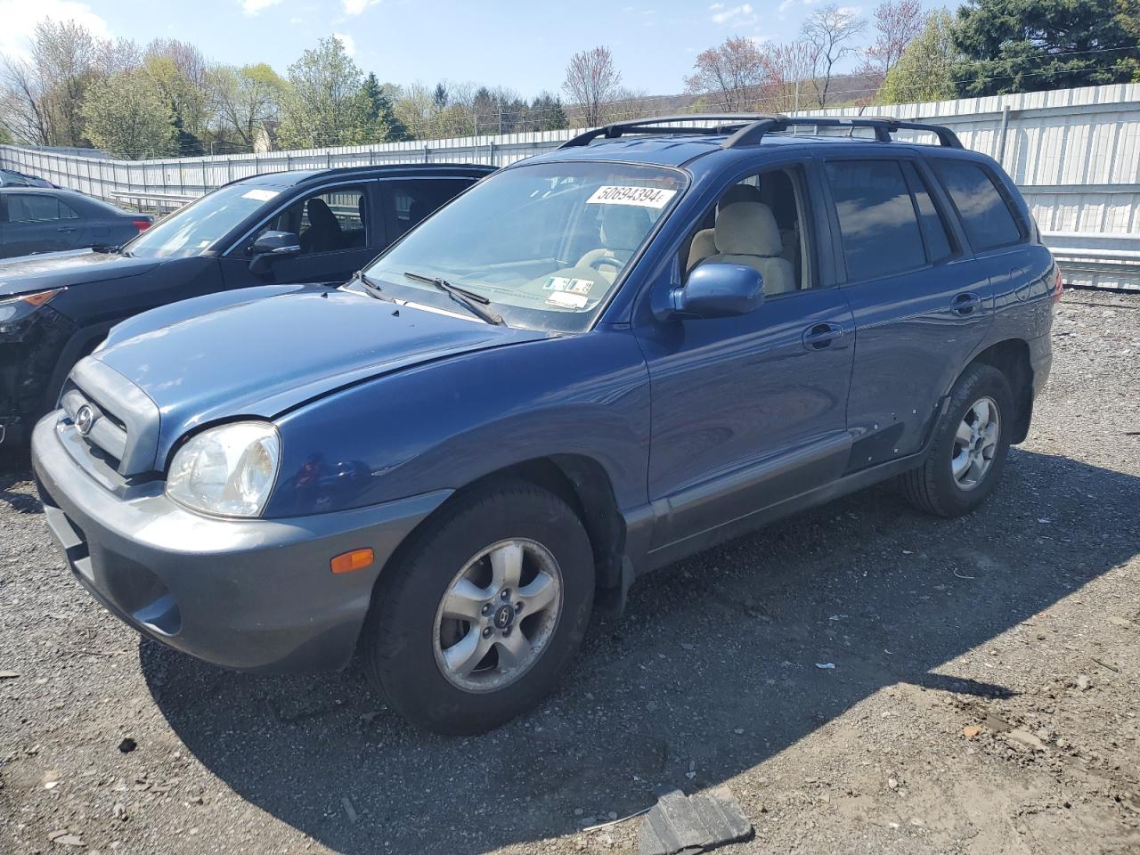 KM8SC13D36U098216 2006 Hyundai Santa Fe Gls