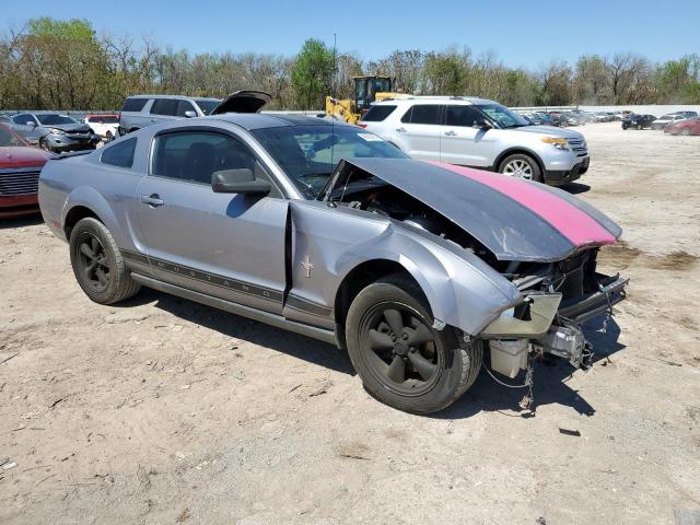 2007 Ford Mustang VIN: 1ZVHT80N975224799 Lot: 49863854