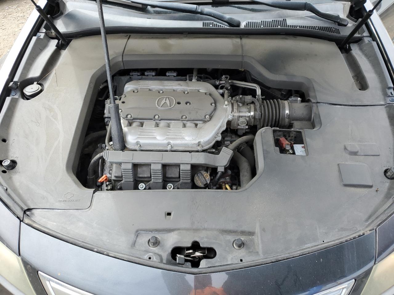 19UUA8F26DA013679 2013 Acura Tl