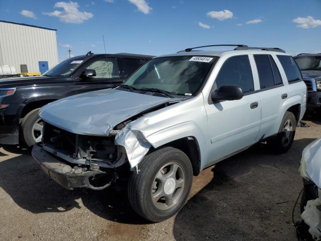 2008 Chevrolet Trailblazer Ls VIN: 1GNDS13S082126302 Lot: 49934814