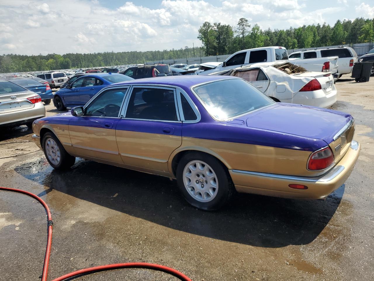 SAJHX1247WC845506 1998 Jaguar Xj8