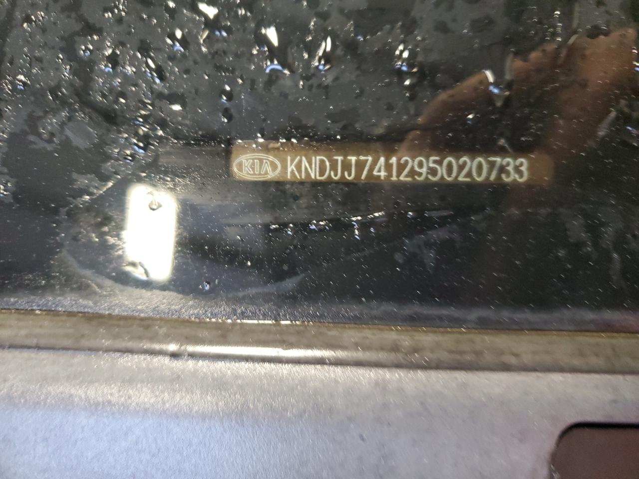 KNDJJ741295020733 2009 Kia Borrego Lx KNDJJ741295020733 2009 Kia Borrego Lx