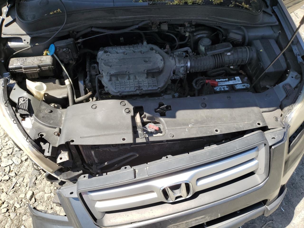 5FNYF18258B008749 2008 Honda Pilot Vp