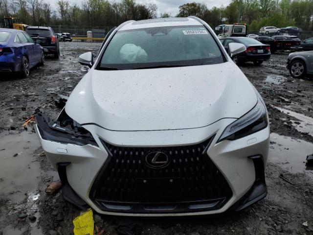 2024 LEXUS NX 350 LUX 2T2HGCEZ3RC035721