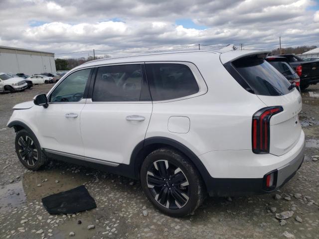 2024 Kia Telluride Sx VIN: 5XYP5DGCXRG423277 Lot: 49698084