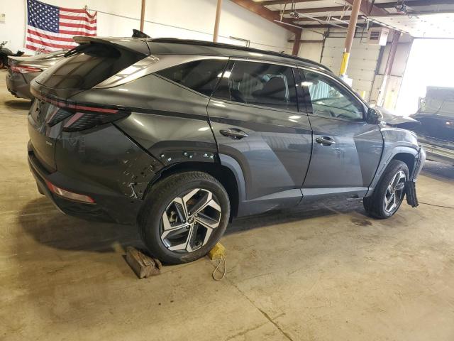 2024 Hyundai Tucson Limited VIN: 5NMJECDE9RH363102 Lot: 49694684