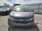 HONDA ODYSSEY SE photo