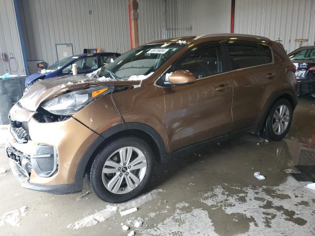 2017 Kia Sportage Lx VIN: KNDPM3AC1H7159321 Lot: 49419484