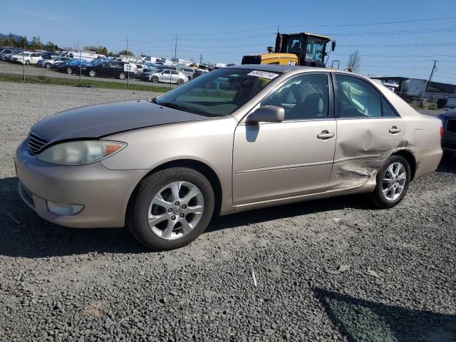 Lot #2473839133 2005 TOYOTA CAMRY salvage car
